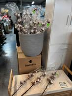 Katoentakken echt met 6 / 7 bollen, Huis en Inrichting, Ophalen, Halfschaduw, Minder dan 100 cm