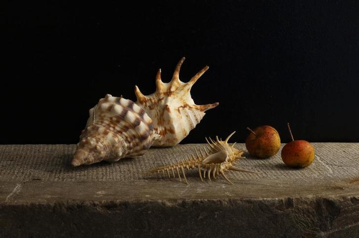 Modern klassiek stilleven 3, Antiek en Kunst, Kunst | Schilderijen | Klassiek, Ophalen