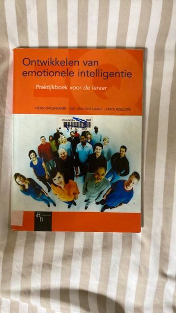 F. Roelofs - Ontwikkelen van emotionele intelligentie beschikbaar voor biedingen