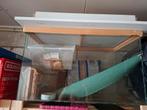 Glazen bak, herbarium, Dieren en Toebehoren, Ophalen, Terrarium of Paludarium