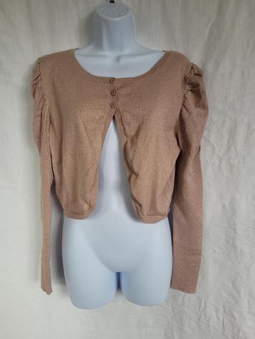Leuk kort oud roze vest met glitterdraad mt XL merk Hema beschikbaar voor biedingen