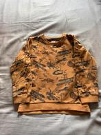 Leuke trui van Sturdy maat 116, Ophalen of Verzenden, Zo goed als nieuw, Jongen, Trui of Vest