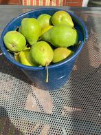 5 Kilo peren, Ophalen