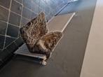 Hangmat voor kat of fret oid, Ophalen of Verzenden, Zo goed als nieuw, Polyester