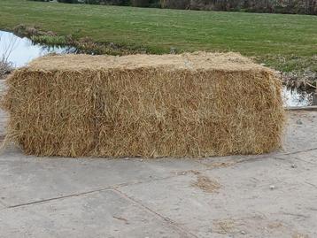 Top kwaliteit paarden hooi LAAG IN SUIKER vierkante balen  beschikbaar voor biedingen