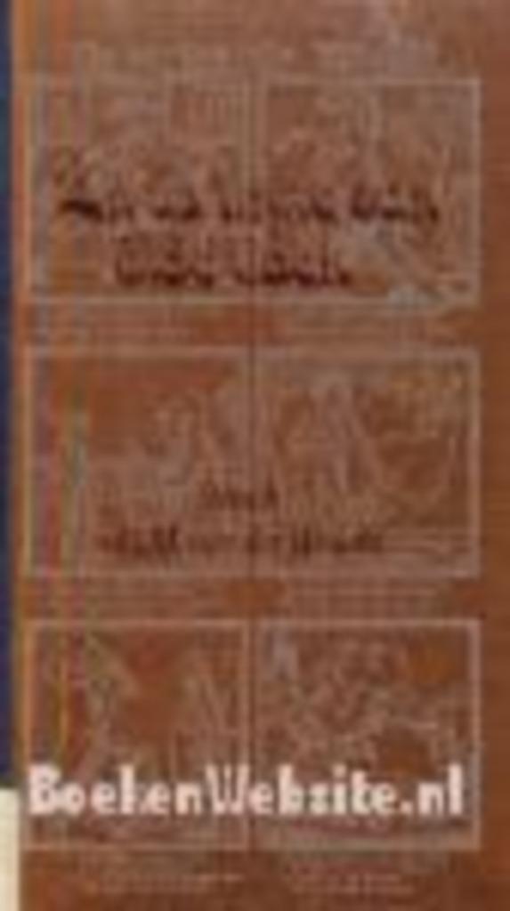 D.M van der Woude   "Lit us tinke oan alde tiden", Boeken, Geschiedenis | Stad en Regio, Gelezen, 19e eeuw, Ophalen of Verzenden