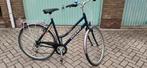 giant damesfiets, Fietsen en Brommers, Ophalen, Gebruikt, Versnellingen, 56 cm of meer