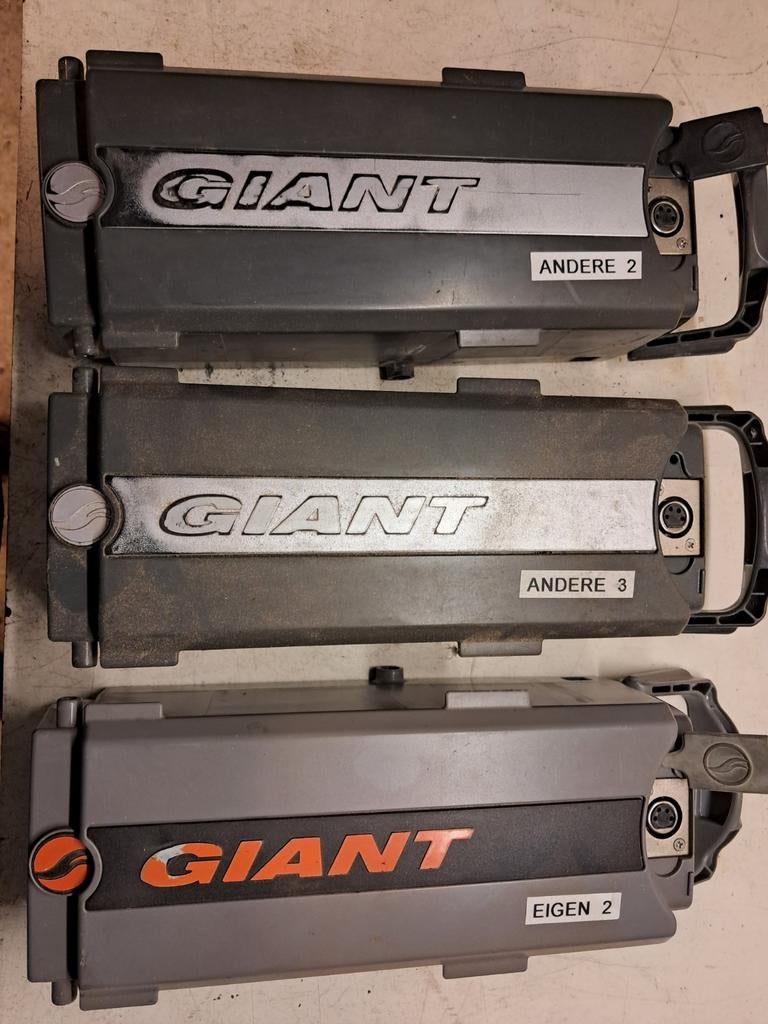 Losse accu's en lader Giant fiets 26 V en 36 V, Fietsen en Brommers, Fietsaccessoires | Fietsaccu's, Ophalen of Verzenden, Gebruikt