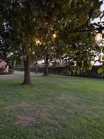 Prikkabel / Lichtsnoer Verhuur, Ophalen, Nieuw, Overige