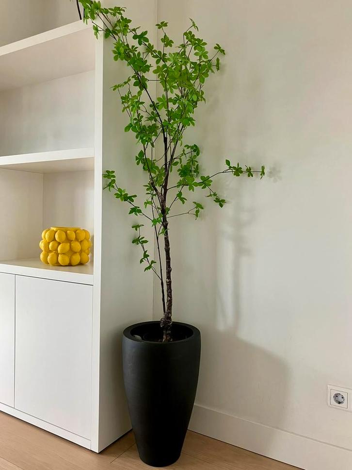 Emerald Tropaeolum kunstplant 150cm incl. 2 losse takken, Huis en Inrichting, Woonaccessoires | Kunstplanten en Kunstbloemen, Zo goed als nieuw