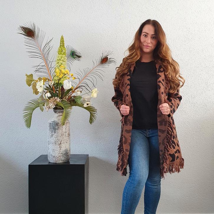 Bruin Pantervest met Ceintuur, Kleding | Dames, Truien en Vesten, Nieuw, Maat 38/40 (M), Bruin, Verzenden