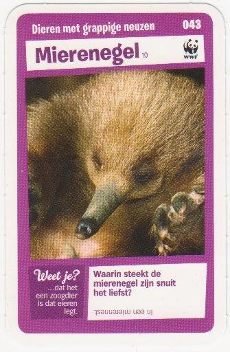 Super dieren no.43 Mierenegel [2698]  [VeOvSu], Verzamelen, Supermarktacties, Albert Heijn, Ophalen of Verzenden