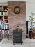 everzwijnkop opgezet, Ophalen, Gebruikt, Overige soorten, Opgezet dier