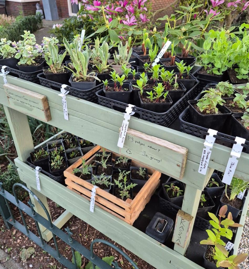 Plantenkraam | nieuwe soorten, Tuin en Terras, Ophalen