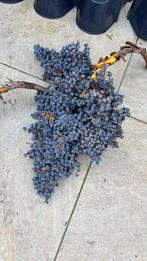 Zaden, Ophalen, Zo goed als nieuw