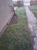 Grasveld voor tuin of aanleg, Tuin en Terras, Gras en Kunstgras, Ophalen of Verzenden, Gebruikt, Minder dan 10 m², Gras