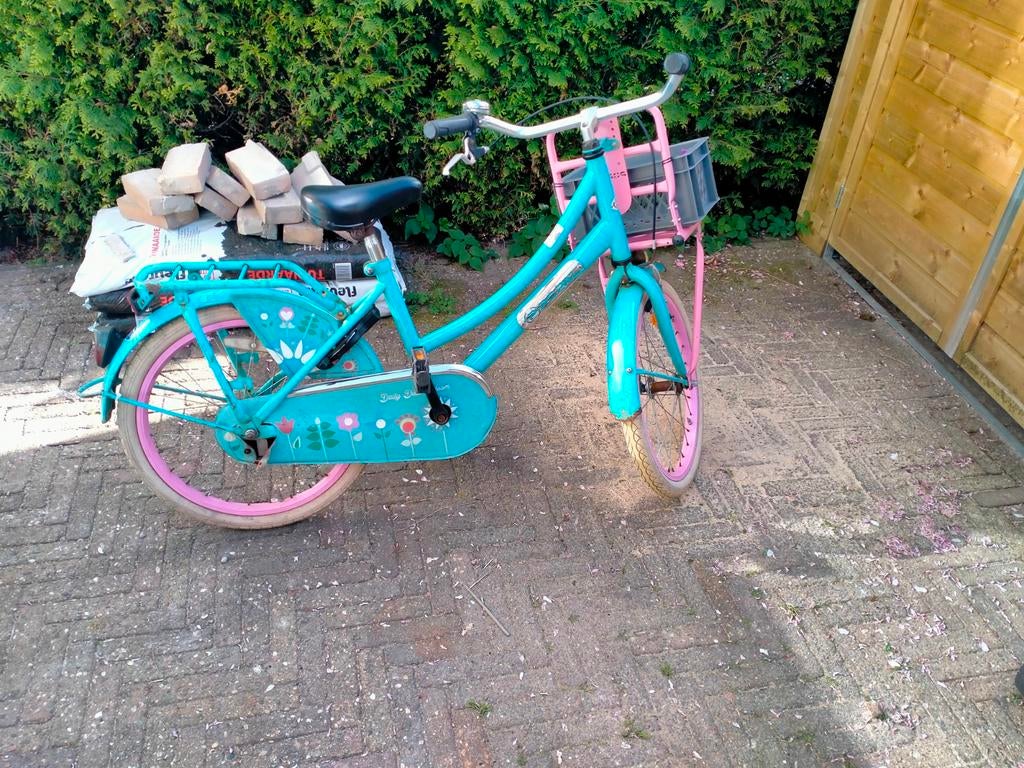 Fiets 20 inch, Fietsen en Brommers, Fietsen | Meisjes, Ophalen, Gebruikt, 20 inch