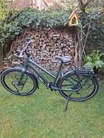 Koga Worldtraveller dames maat S, 50 tot 53 cm, Ophalen of Verzenden, Zo goed als nieuw