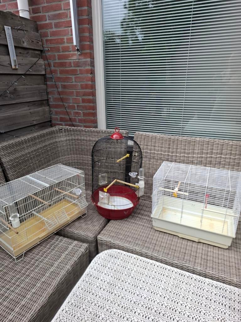 Vogelkooien, Dieren en Toebehoren, Vogels | Hokken en Kooien, Ophalen, Gebruikt, Metaal, Vogelkooi