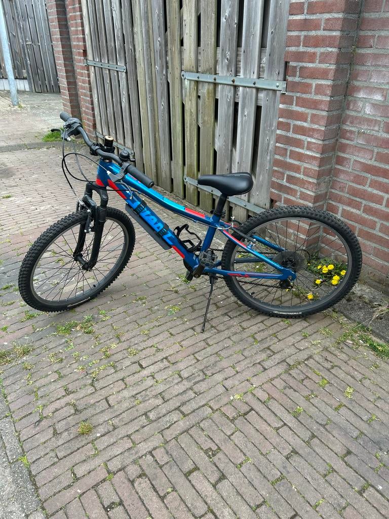 Kinder MTB 24 inch giant., Ophalen, Gebruikt, 20 inch of meer