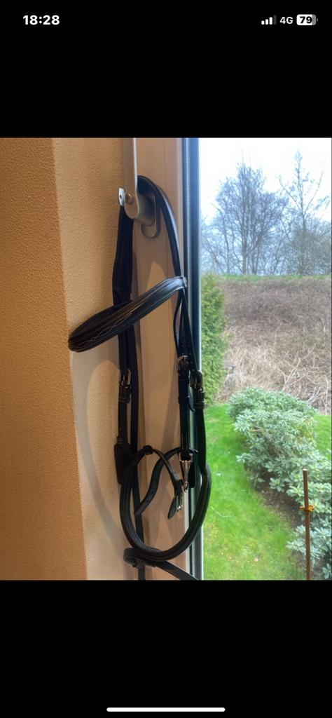Hoofstel Dyon, Dieren en Toebehoren, Paarden en Pony's | Hoofdstellen en Tuigage, Ophalen of Verzenden, Nieuw