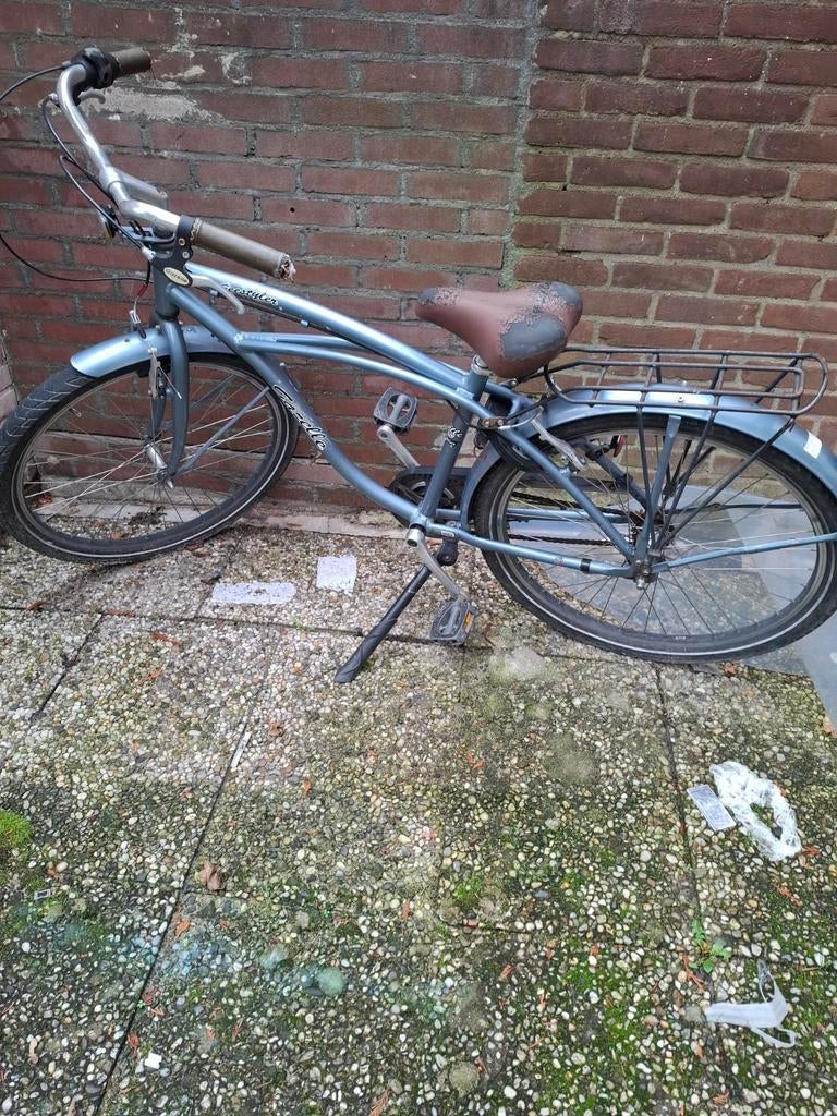 Fiets, Fietsen en Brommers, Ophalen of Verzenden, Gebruikt, Staal