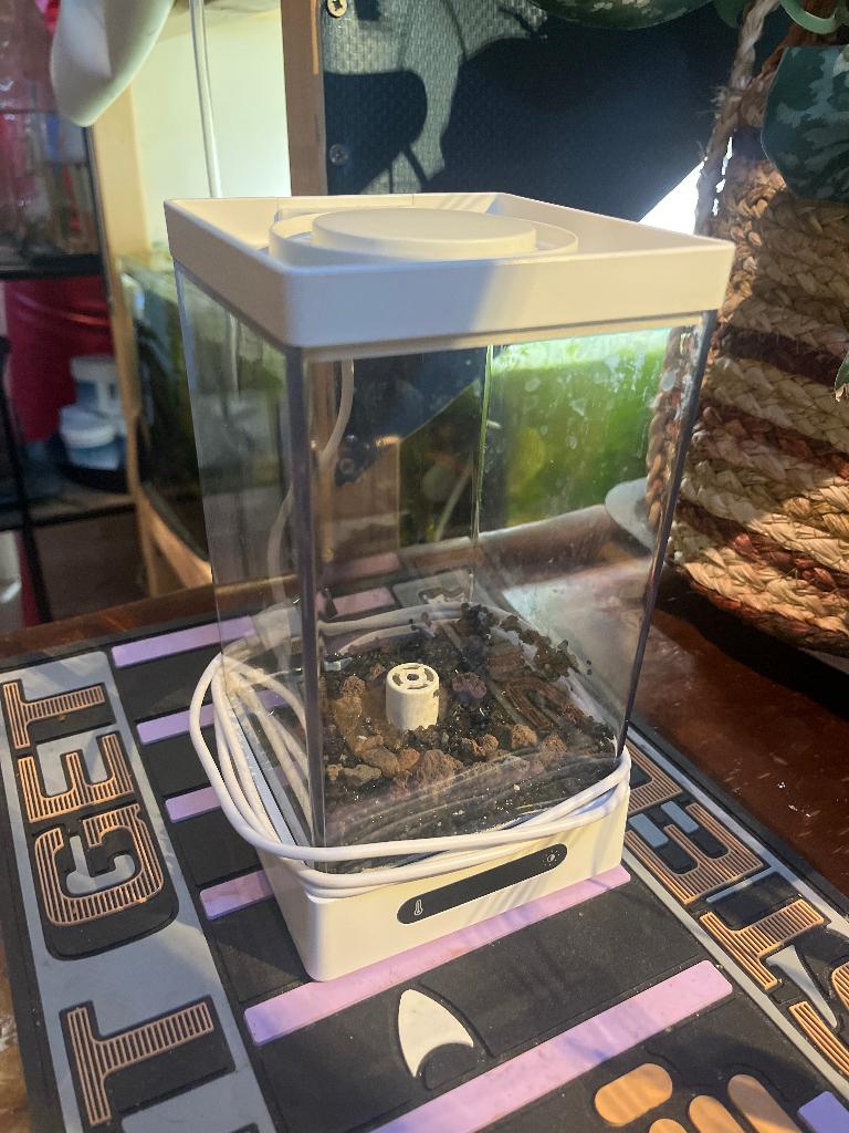 Aquarium betta Kempvis, Dieren en Toebehoren, Ophalen, Verwarming, Gebruikt, Leeg aquarium