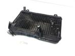 RG250 1983 - 1987 Suzuki Radiator D1-53636