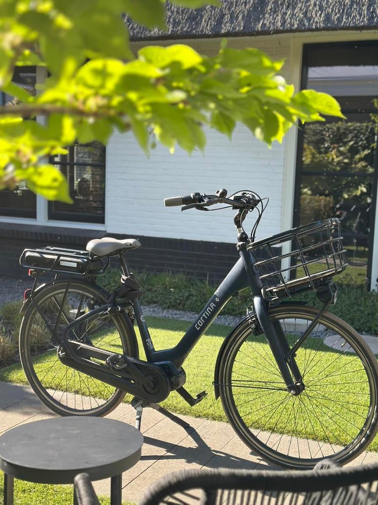 Cortina-e common family, Gebruikt, Ophalen of Verzenden, Minder dan 47 cm, Cortina