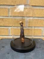 Geprepareerde vleermuis in een glazen stolp., Verzamelen, Ophalen of Verzenden, Overige soorten, Opgezet dier