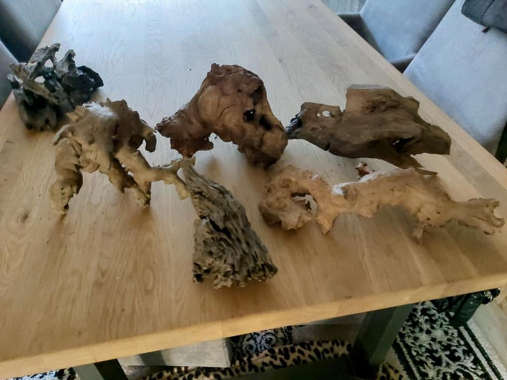 Tekoop aquarium hout, Ophalen, Plant(en), Steen of Hout