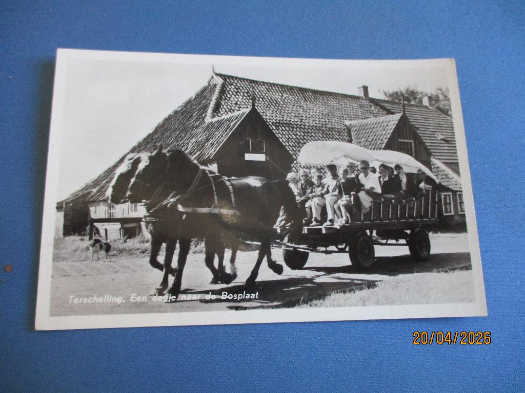 Terschelling, Verzamelen, Ansichtkaarten | Nederland, Ophalen of Verzenden, Voor 1920, Gelopen, Waddeneilanden