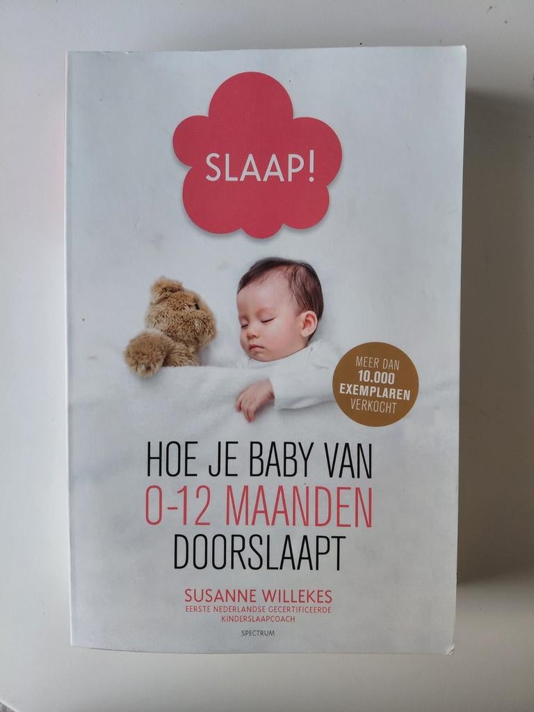 Susanne Willekes - Slaap!, Boeken, Zwangerschap en Opvoeding, Susanne Willekes, Ophalen of Verzenden, Zo goed als nieuw, Opvoeding tot 6 jaar