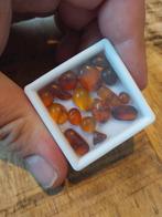 Baltic amber cabochons, Ophalen of Verzenden, Mineraal