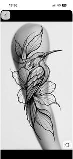 Modellen gezocht, Overige niveaus, Overige vormen