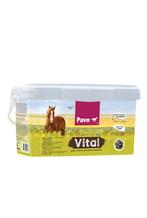 Pavo vital, Ophalen of Verzenden, Overige soorten