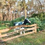 Kunst dieren, Holstein koe beeld, Holstein Friesian koe, Ophalen, Nieuw, Kunststof, Dierenbeeld