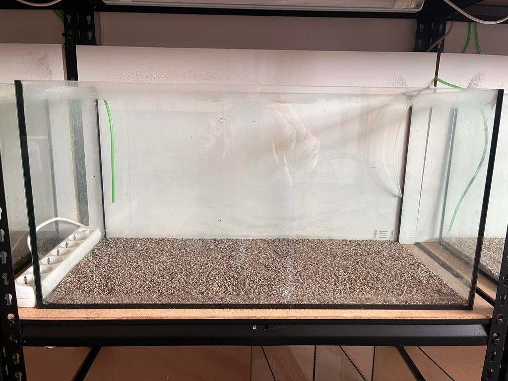 Aquarium 80x35x40 zonder tussenschot, Dieren en Toebehoren, Ophalen, Zo goed als nieuw, Leeg aquarium