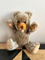 Beer in Zotty stijl van vermoedelijk Hermann, Ophalen of Verzenden