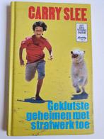 Boek geklutste geheimen met huiswerk toe, Boeken, Ophalen of Verzenden, Fictie algemeen