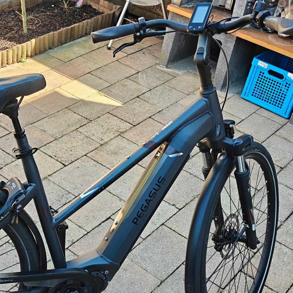 Pegasus Opero Evo 5 - Di2 Belt, Ophalen, Gebruikt, Overige merken