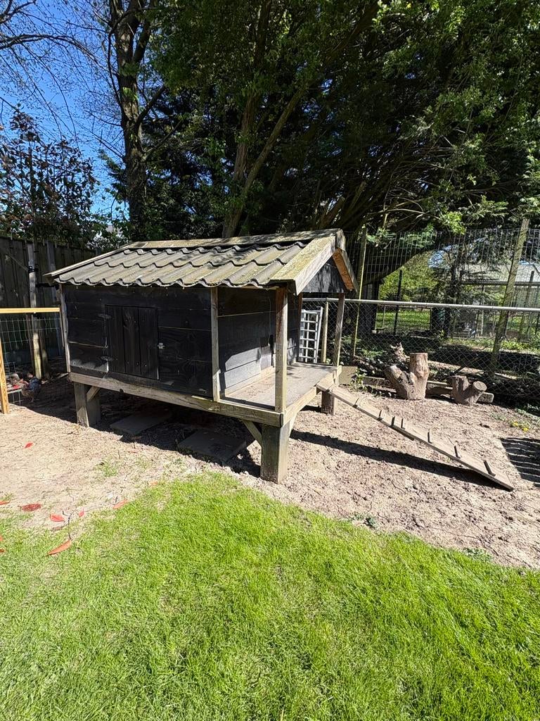 Kippenhok douglas hout/ goede staat/20+ kip, Dieren en Toebehoren, Ophalen, Kippenhok of Kippenren