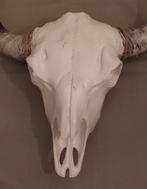 Grote buffel kop, Ophalen