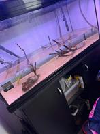 Aquarium compleet met JBL e1902 filter + externe lamp, Ophalen, Leeg aquarium