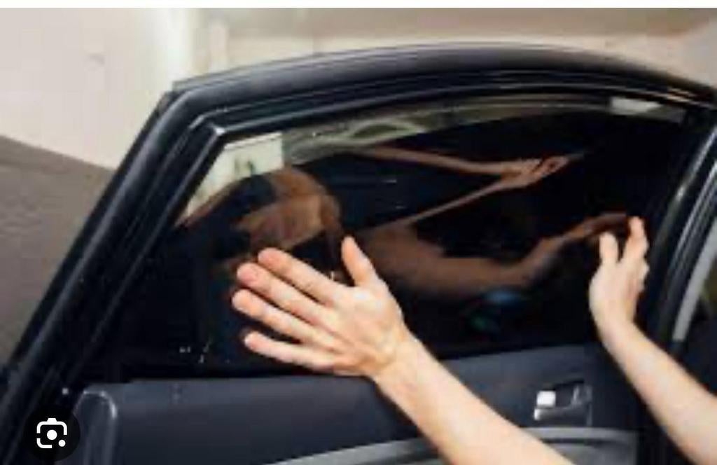 Ramen blinderen, Auto diversen, Tuning en Styling, Ophalen of Verzenden