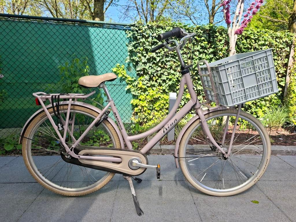 Batavus Diva Damesfiets - Roze met Krat - Framemaat 50, Ophalen, Gebruikt, Velgrem, Batavus