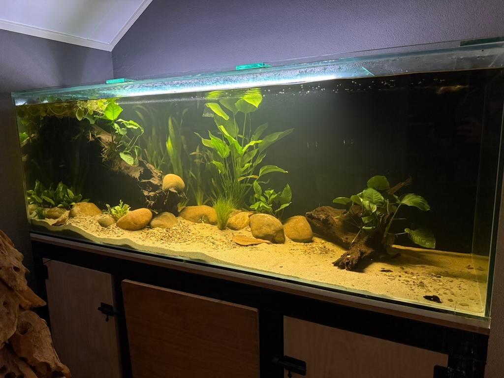 Mooi 200x70x70 aquarium met onderkast en filters, Dieren en Toebehoren, Vissen | Aquaria en Toebehoren, Zo goed als nieuw, Leeg aquarium