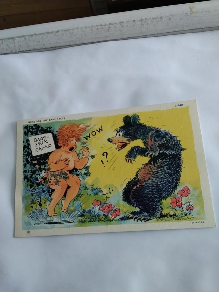 NUDISTEN COLONY. RAY WALTERS, Verzamelen, Ansichtkaarten | Themakaarten, Ophalen of Verzenden, Overige thema's