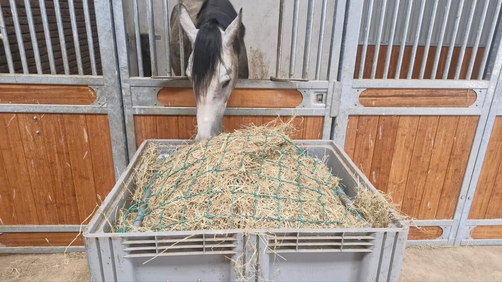 Slowfeeder rek pallet box meerde maaswijdte, Ophalen of Verzenden, Nieuw, IJzer