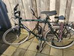 Gazelle Medeo Herenfiets, Ophalen, Gebruikt, Versnellingen, 65 cm of meer